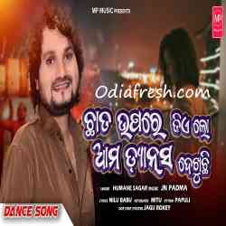 Chhata Upare Jielo Ama Dance Dekhuchhi